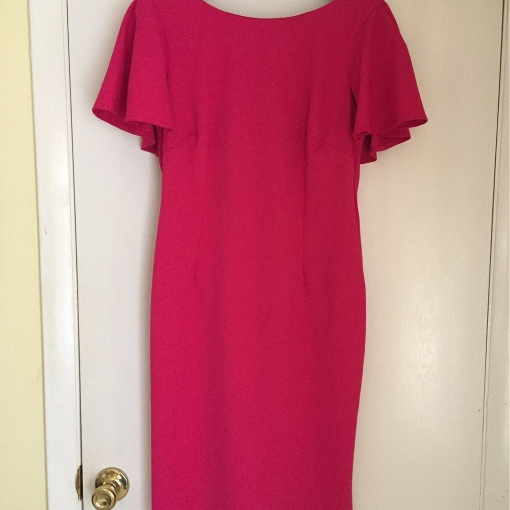 Fucia Pink/Cerise Fitted Dress with Flounce Sleeves (10)